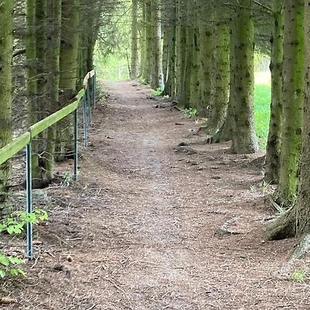 Apartman Brcalnik Sumavske Strane Hojsova Stráž Bagian luar foto